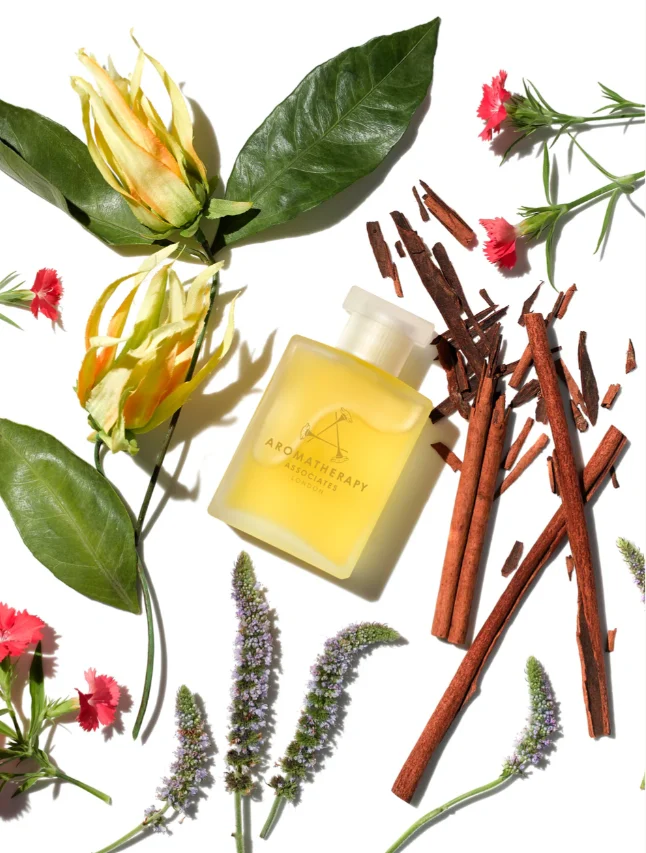 대표 브랜드 이미지